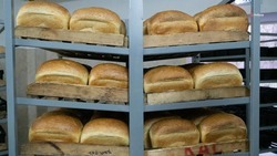 На Ставрополье стоимость социального хлеба расти не будет 