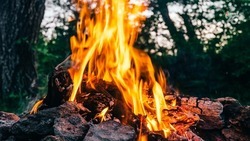 Успешные методы борьбы с лесными пожарами назвали в Минприроды Ставрополья 