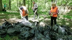 Около 500 несанкционированных свалок ликвидировали на Ставрополье в 2021 году