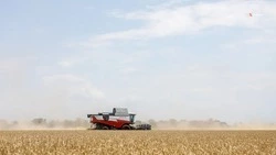 Аграриям Ставрополья одобрили льготные кредиты на 15 миллиардов рублей