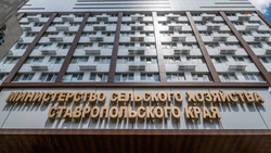 На Ставрополье планируют нарастить объёмы производства мёда