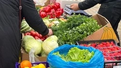 Пасхальные ярмарки организуют в Туркменском округе
