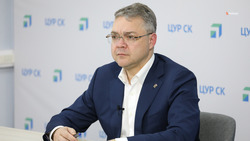 Губернатор Ставрополья предложил повысить льготный налоговый порог для самозанятых