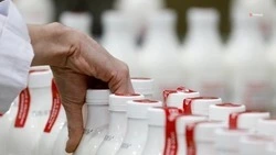 На Ставрополье сократили объёмы контрафактной и просроченной продукции