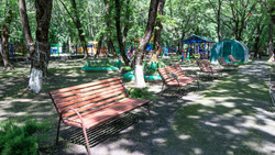 На Ставрополье 654 детских лагеря готовы к летнему сезону