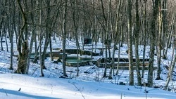 В Туркменском округе провели анализ численности охотничьих ресурсов