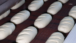 Предприятия Ставрополья получили господдержку на производство хлеба