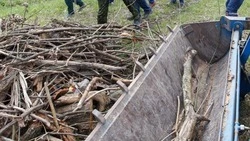 В Туркменском округе очистили от мусора 2,5 км береговых линий