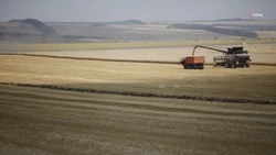 Около 300 ставропольских аграриев получили господдержку на возмещение части затрат