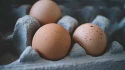 Ставропольские производители яиц получили субсидию в размере 25 миллионов рублей